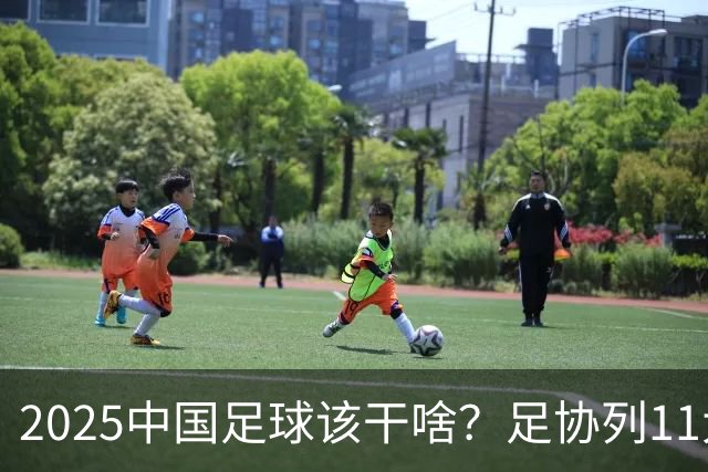 2025中国足球该干啥？足协列11大任务！